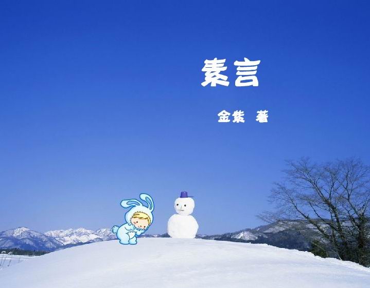素言TXT全集封面