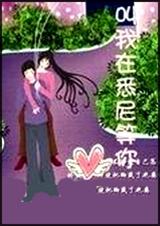 我在悉尼等你TXT全集封面