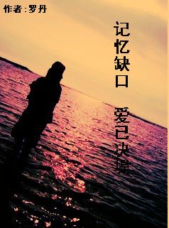 记忆缺口,爱已决堤TXT全集封面