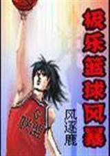 极乐篮球风暴 风逐鹿TXT全集封面