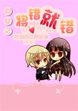 剩女之将错就错TXT全集封面