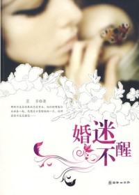 解读80后的错位婚姻:婚迷不醒TXT全集封面
