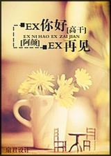 EX你好,EX再见TXT全集封面