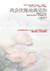 我会优雅地遇见你 心盈谷TXT全集封面