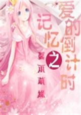 记忆之爱的倒计时TXT全集封面
