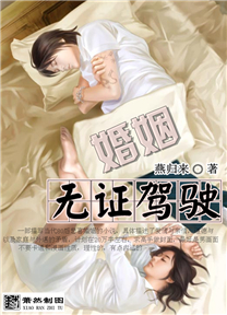 婚姻无证驾驶:徘徊在爱与不爱的边缘TXT全集封面
