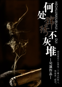 何处锦绣不灰堆TXT全集封面