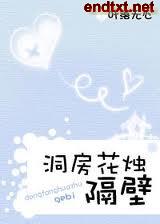 洞房花烛 隔壁TXT全集封面