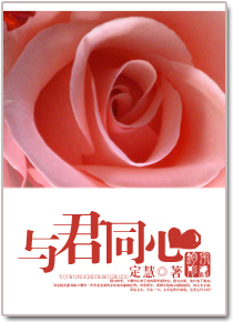 与君同心TXT全集封面