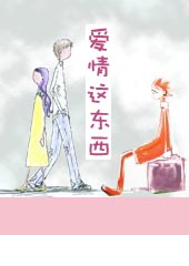 爱情这东西TXT全集封面