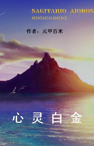心灵白金TXT全集封面