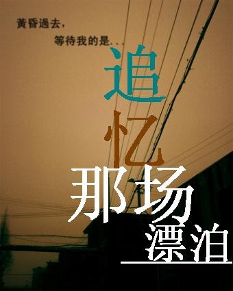 追忆那场漂泊TXT全集封面