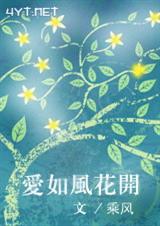 爱如风花开 (VIP完结,军婚,高干)TXT全集封面
