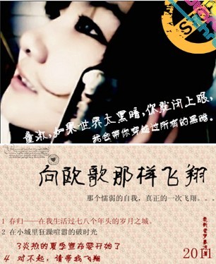 向欧歌那样飞翔TXT全集封面