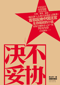 法制与人间百态的正式博弈:决不妥协TXT全集封面