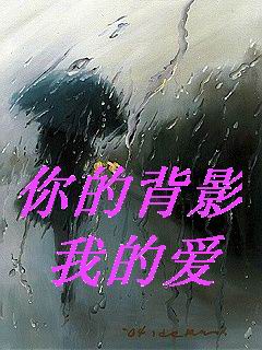 你的背影 我的爱TXT全集封面