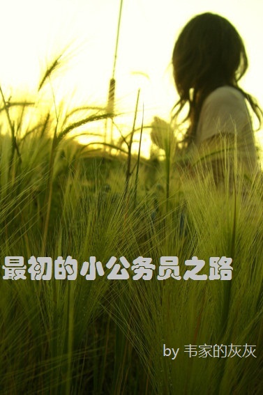 最初的小公务员之路TXT全集封面