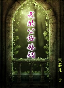 我的公证婚姻TXT全集封面