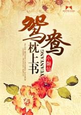 鸳鸯枕上书TXT全集封面