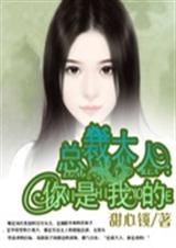 总裁大人,你是我的TXT全集封面