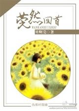 莞然回首TXT全集封面