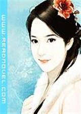 江山妃雪TXT全集封面