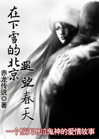 在下雪的北京遥望春天TXT全集封面