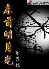 床前明月光TXT全集封面