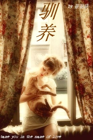 驯养+番外TXT全集封面