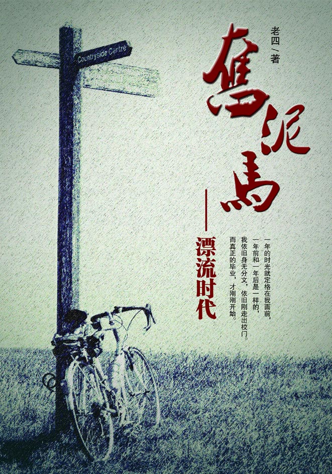 奋泥马--漂流时代TXT全集封面