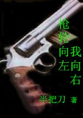 枪轮向左,我向右TXT全集封面