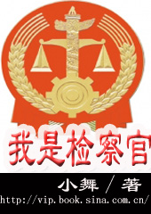 我是检察官TXT全集封面