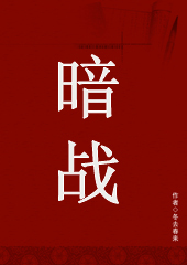 暗战TXT全集封面