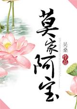 莫家阿宝TXT全集封面