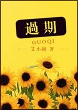 过期(出书版)TXT全集封面