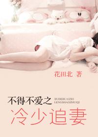 不得不爱之冷少追妻TXT全集封面