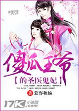 傻瓜王爷的圣医TXT全集封面