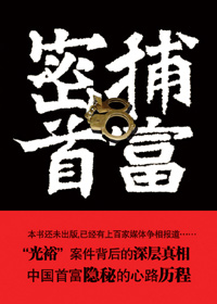 密捕首富TXT全集封面