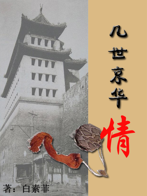 几世京华情TXT全集封面