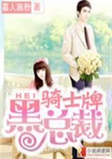 骑士牌黑总裁TXT全集封面