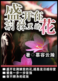 盛开在荆棘里的花TXT全集封面