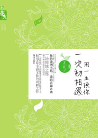 刻骨铭心初恋男友:用一生换你一次初相遇TXT全集封面