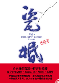瓷婚TXT全集封面
