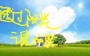 透过阳光谁的脸TXT全集封面