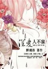 深爱人不寐TXT全集封面