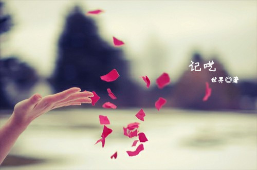 记呓TXT全集封面