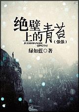 绝壁上的青苔TXT全集封面