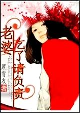 老婆,吃了请负责TXT全集封面