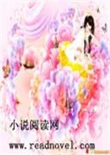 爱在两万公里外TXT全集封面