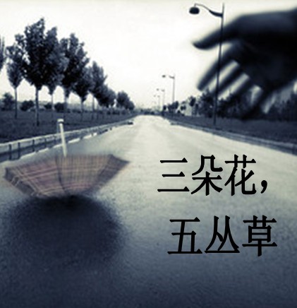 三朵花,五丛草TXT全集封面